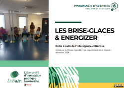 Brise-glaces & Energizer