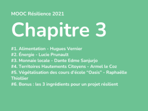 MOOC_Rsilience__chap_3.png