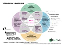 Fiche outil Ikigaï | Sobriété numérique